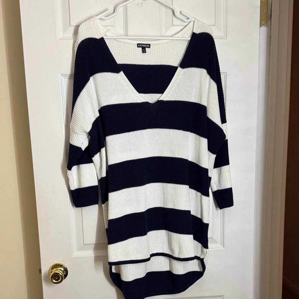 Express Navy and White V-Neck Sweater